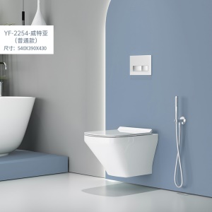WC à Siphon en céramique murale