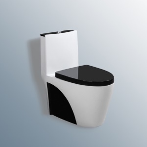 Toilettes silencieuses en céramique, rangée murales et au sol