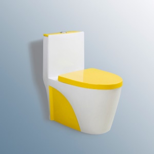 Toilettes silencieuses en céramique, rangée murales et au sol