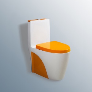 Toilettes silencieuses en céramique, rangée murales et au sol