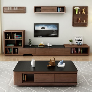 Table basse et meuble TV