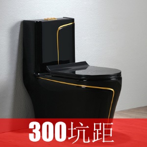 WC monobloc à Siphon en céramique