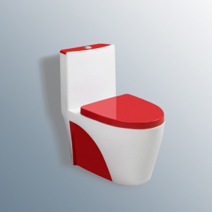 Toilettes silencieuses en céramique, rangée murales et au sol