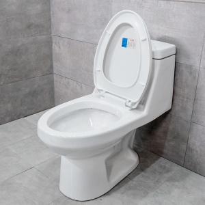 WC à Siphon silencieux en céramique