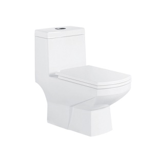 WC monobloc en céramique lavable
