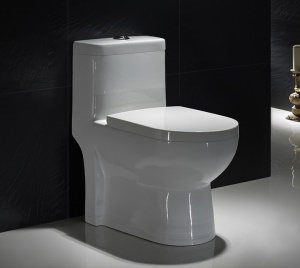 WC à Siphon silencieux et économes en eau en céramique