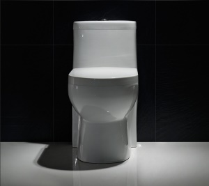 WC à Siphon silencieux et économes en eau en céramique