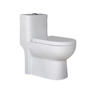 WC à Siphon silencieux et économes en eau en céramique