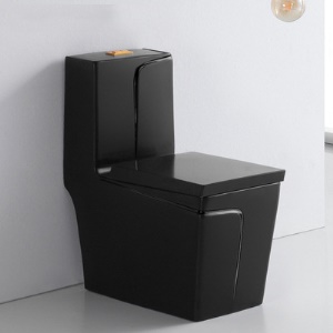 WC  céramique silencieuse à siphon au sol à  haute pression.