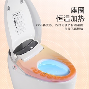 WC intelligente au sol avec affichage LED