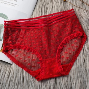 Culotte en coton femme translucide ajouré en dentelle