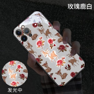 IPhone Étui de protection pour téléphone verre trempé lumineux avec dessin animé