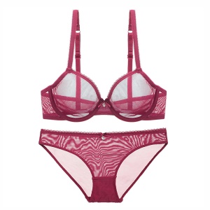 Ensemble de Soutien gorge et culotte en filet dentelle