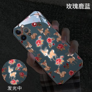 IPhone Étui de protection pour téléphone verre trempé lumineux avec dessin animé