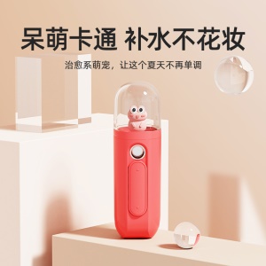Nano pulvérisateur portable pour hydratation du visage