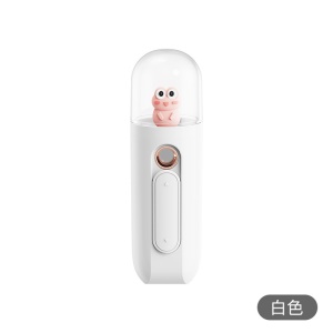 Nano pulvérisateur portable pour hydratation du visage