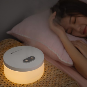 Humidificateur à double pulvérisation sans fil avec  Remplissage d'eau et grande capacité de 1L