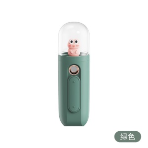 Nano pulvérisateur portable pour hydratation du visage