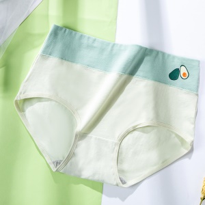 Culotte slip à taille haute en dentelle