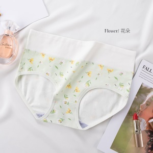 Culotte femme imprimé en coton taille haute ventre plat