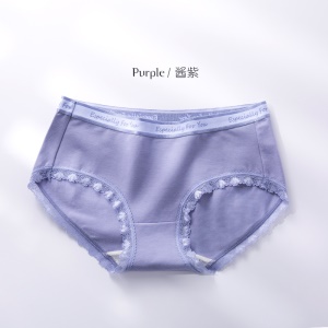 Culotte femme taille moyenne slip en dentelle bord