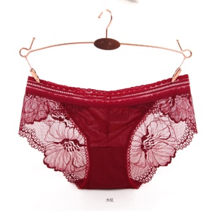 Femme slip sexy dentelle transparent