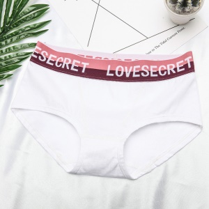 Culotte femme coton taille moyenne respirant