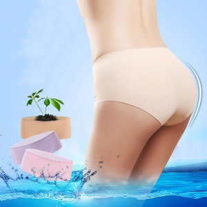 Slip femme culotte en soie glacée