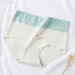 Culotte slip  en coton pour femme