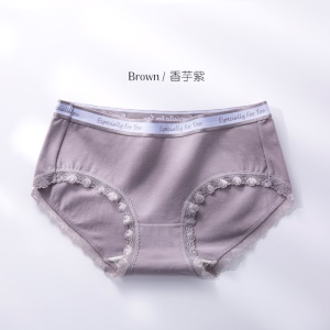 Culotte femme taille moyenne slip en dentelle bord