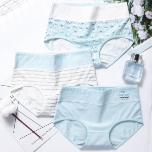 Culotte coton femme imprimé taille moyenne