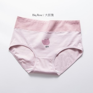Culotte slip imprimée  respirante en coton