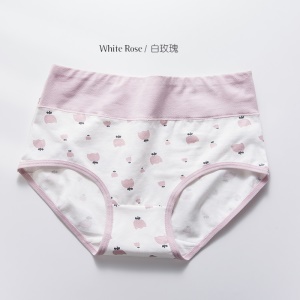 Culotte slip imprimée  respirante en coton