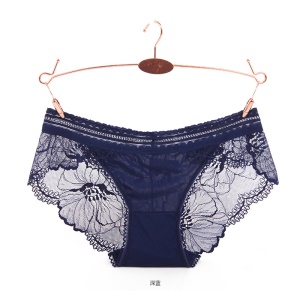 Femme slip sexy dentelle transparent