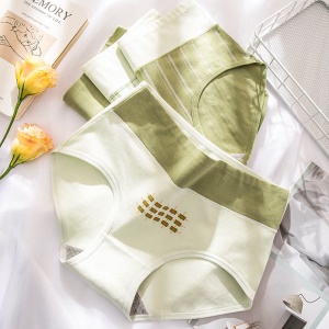 Culotte slip à taille haute en coton