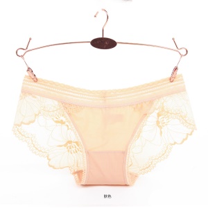 Femme slip sexy dentelle transparent
