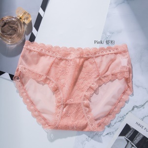 Slip femme sexy transparent culotte en dentelle