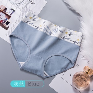 Culotte slip respirante en coton  à taille haute