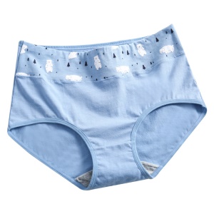Slip à taille haute en coton pur