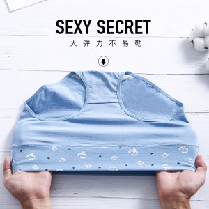 Culotte taille haute en coton pour femme