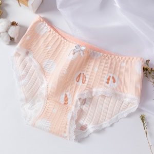Culotte slip respirant  en coton pour femme