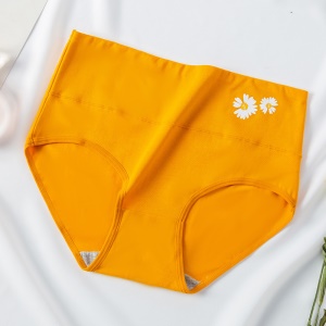 Slip coton femme imprimé petite marguerite
