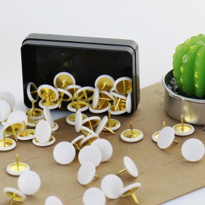 Punaise à tête plate en plastique 50pcs par boîte