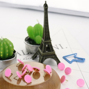 Punaise à tête plate en plastique 50pcs par boîte