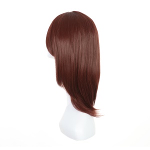 Perruque synthétique sans dentelle cheveux naturels droits et longs