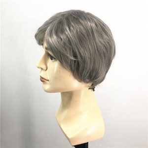 Perruque brésilien pour hommes cheveux gris lisse en fibre synthétiques 8 pouces