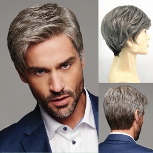 Perruque brésilien pour hommes cheveux gris lisse en fibre synthétiques 8 pouces