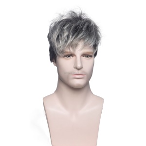 Perruque pour homme aux cheveux court Argent Noir de 4 pouces