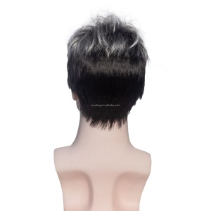 Perruque pour homme aux cheveux court Argent Noir de 4 pouces