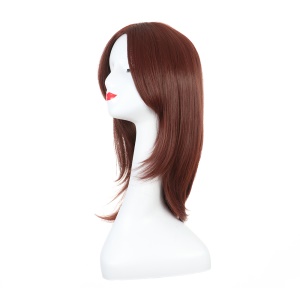 Perruque synthétique sans dentelle cheveux naturels droits et longs